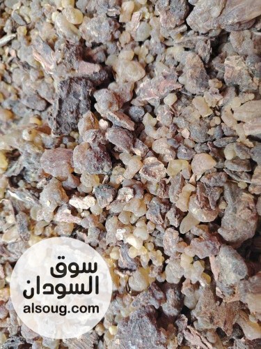 دينا بشير التسويق المحاصيل الزراعيه السودانيه - صورة رقم 1