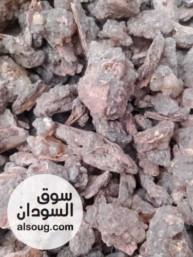 دينا بشير التسويق المحاصيل الزراعيه السودانيه - صورة رقم 4