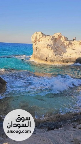 مولدات بيركنز البريطانية اوسكا - صورة رقم 2