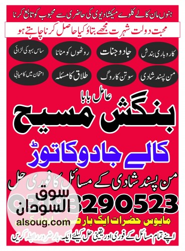 Famous guru no-1 usa contact number - صورة رقم 1
