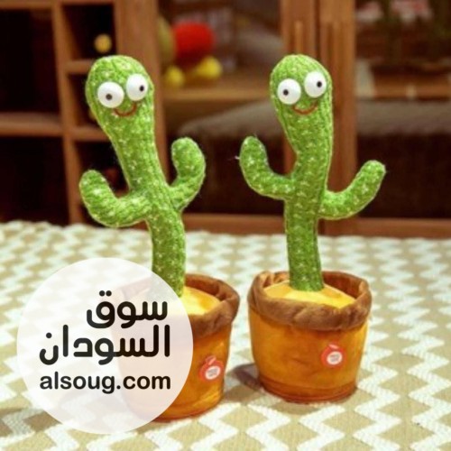 عرض الصبارة الضاحكه - صورة رقم 2