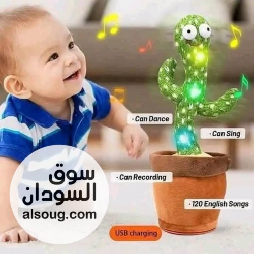 عرض الصبارة الضاحكه - صورة رقم 3