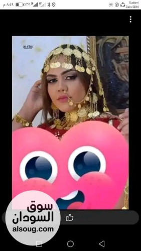 جدل رهيبة للبيع مختلف تشكلات - صورة رقم 8