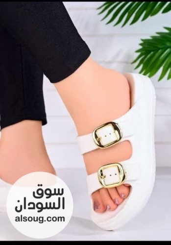 الجديد وصل من السفنجه النسائي  - صورة رقم 1