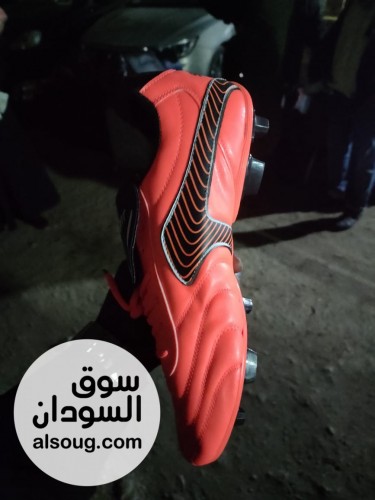 كدارات رياضية استيراد مصر - Image # 2