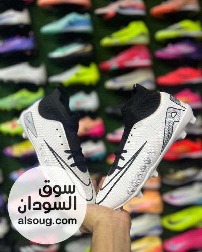 كدارات باتات استيراد مصر - Image # 6