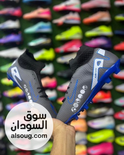 كدارات باتات استيراد مصر - Image # 7