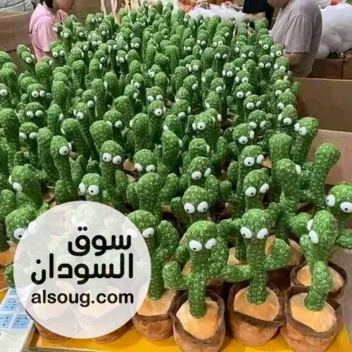 الصبارة الراقصة للاطفال - Image # 1