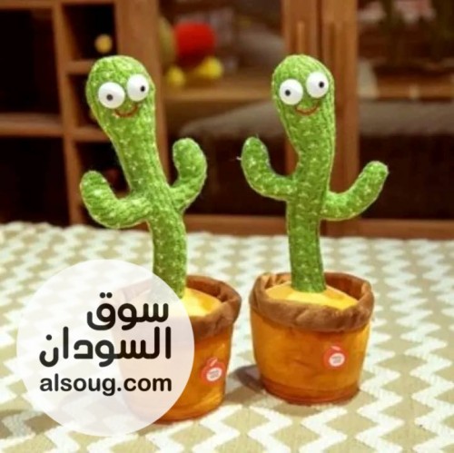 الصبارة الراقصة للاطفال - Image # 4