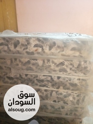  مراتب طبية سعودية ماركة نايس دريم  - Image # 9