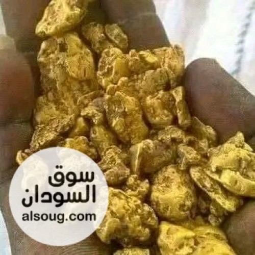 جهاز تنقيب الدهب بفاتورة ضمان - Image # 5