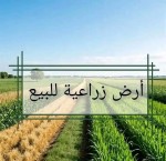 أرض زراعية للبيع 16 فدان