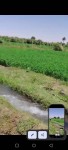 مزرعه للبيع ملك حرشهادة بحث مضرب بحر