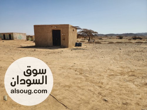 موقع كامل للبيع 10 خلاط بورما 6مسمار - Image # 2