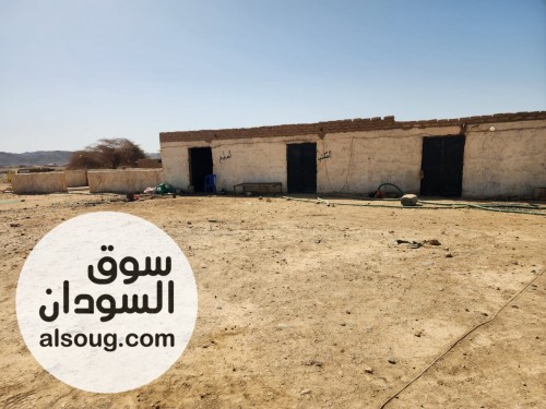 موقع كامل للبيع 10 خلاط بورما 6مسمار - Image # 3