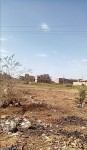 للبيع قطعه أرض استثمارية الفاروق علي الزلط الرئيسي شارع سنار مدني