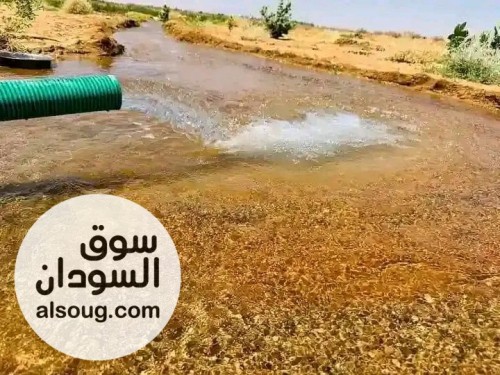 اراضي زراعيه باقساط في نهر عطبرة - صورة رقم 2