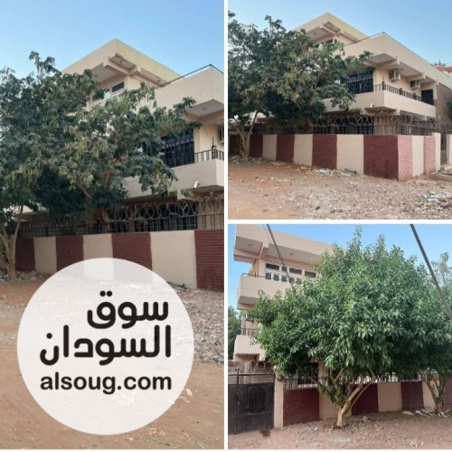 مؤسس بالطايف مربع ٢٢ - Image # 4