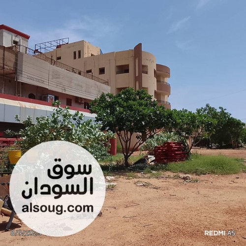عماره استثماريه بالمعموره - صورة رقم 4