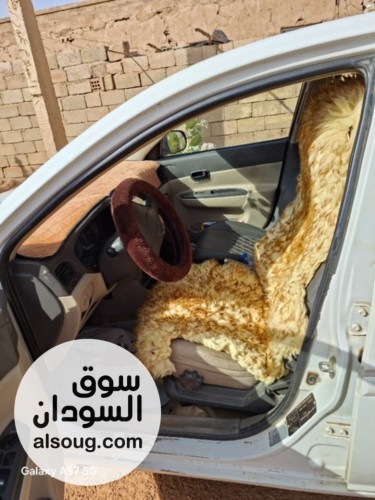 اكسنت دبدوب 11 جياد - صورة رقم 5