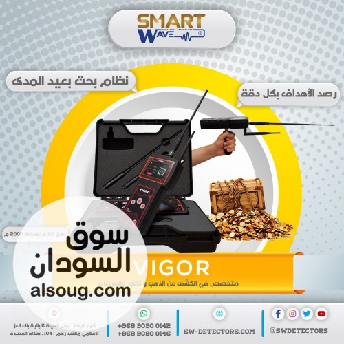 VIGOR  القوة الذكية في عالم كشف الذهب والكنوز  - صورة رقم 7