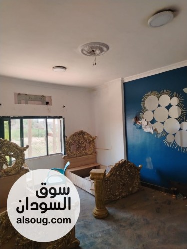 عماره استثماريه ببحرى قريبه للانقاذ - صورة رقم 5