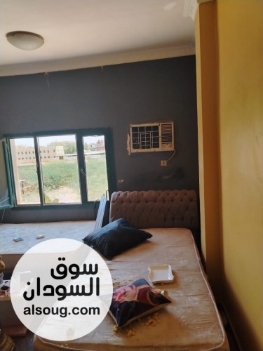 عماره استثماريه ببحرى قريبه للانقاذ - صورة رقم 9