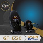 GF650   القوة الأمريكية الذكية لكشف الذهب والكنوز