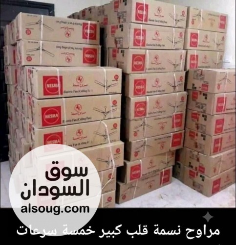  مراوح سقف امبر الهنديه الاصلية 