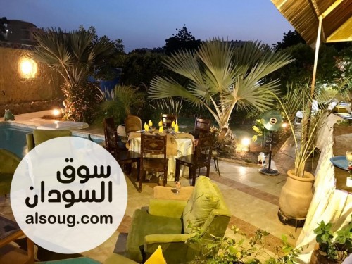 فل للايجار لشركات والمنظمات - صورة رقم 5
