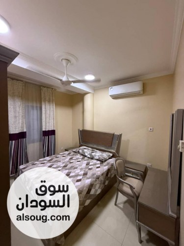 فل للايجار لشركات والمنظمات - صورة رقم 7
