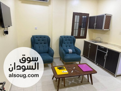 فل للايجار لشركات والمنظمات - صورة رقم 8