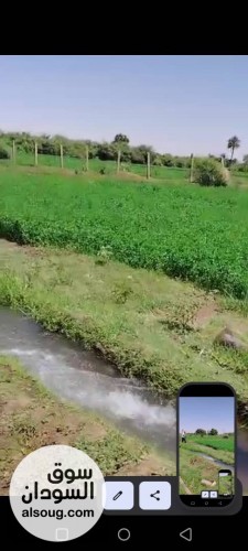 مزرعه للبيع شهاده بحث مضرب بحر - صورة رقم 8