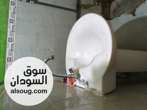 استديو مفروش للايجار في جزيرة توتي - صورة رقم 4