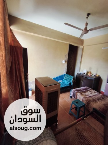 استديو مفروش للايجار في جزيرة توتي - صورة رقم 2