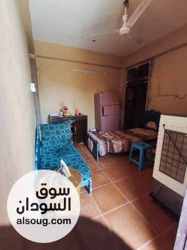 استديو مفروش للايجار في جزيرة توتي