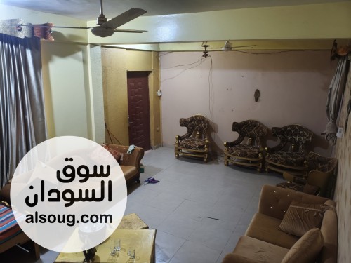 منزل مفروش للايجار في جزيرة توتي - صورة رقم 2