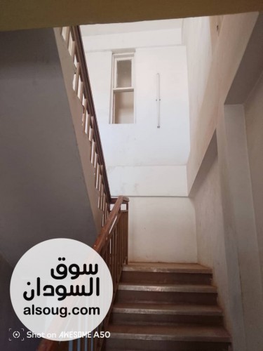  شقق مفروشه في المعموره علب شارع الستين وااطائف والرياض - صورة رقم 5
