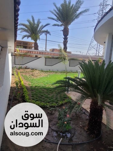 موقع مميز للإيجار في كافوري9يفتح في زلط مجمع النور  - Image # 10