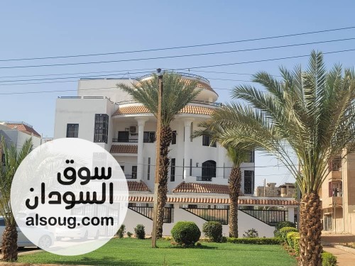 موقع مميز للإيجار في كافوري9يفتح في زلط مجمع النور  - Image # 12