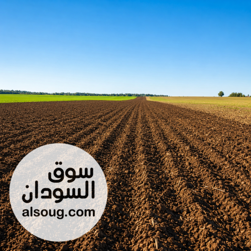 متوفر أراضي زراعيه باقساط ف نهر عطبرة - Image # 2
