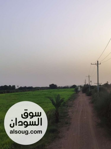 مزرعه في بحري الكدرو مربوع ابو حليمه مضرب بحر