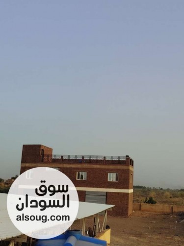 مزرعه في بحري الكدرو مربوع ابو حليمه مضرب بحر - صورة رقم 5