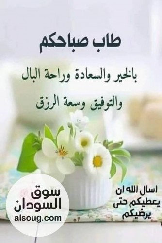 عمارة للبيع شارع 15 - صورة رقم 3