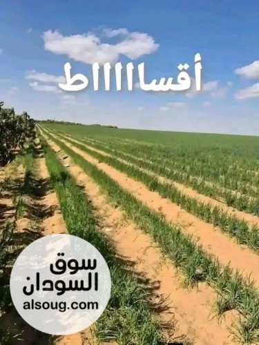 حقق حلمك مع مشروع ثمار الزراعي