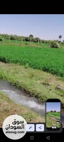 مزرعة ملك حر شهادة بحث و كروكي للمزرعة 