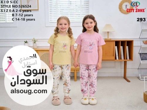  - صورة رقم 6