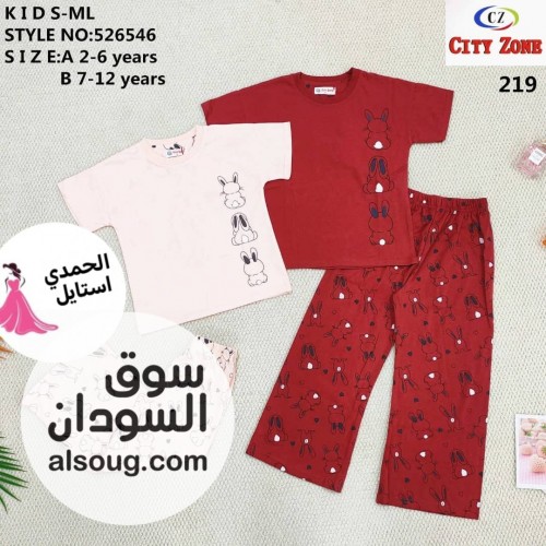  - صورة رقم 11