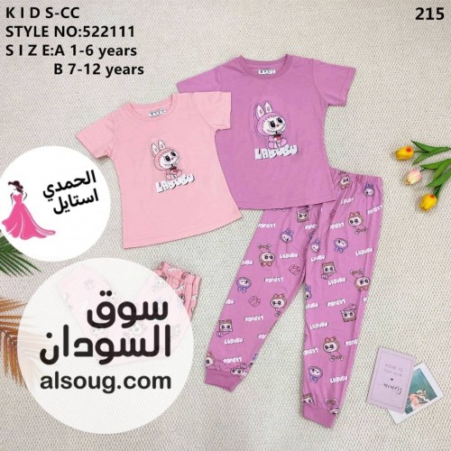  - صورة رقم 12
