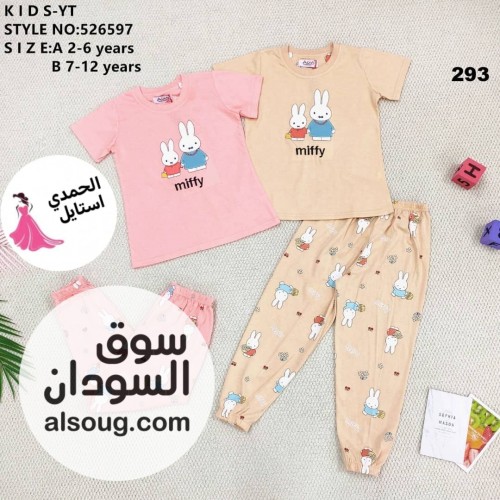  - صورة رقم 9